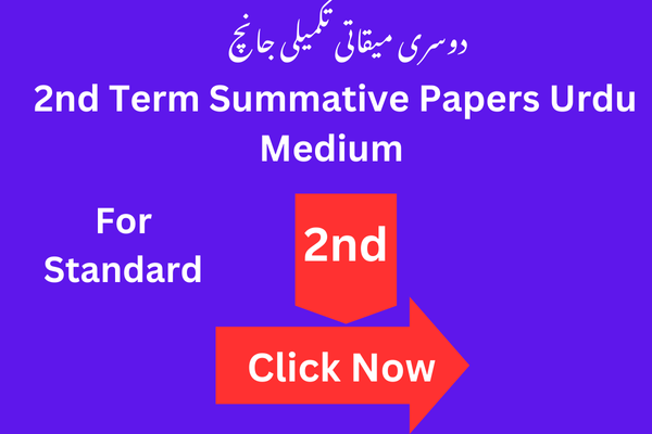 2nd Term Summative Papers for Standard 2