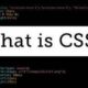WHAT IS CSS?